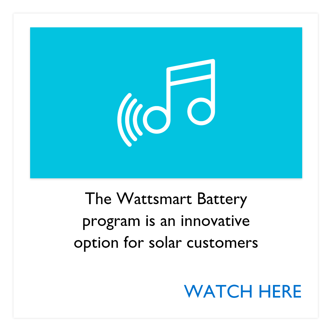 Wattsmart battery